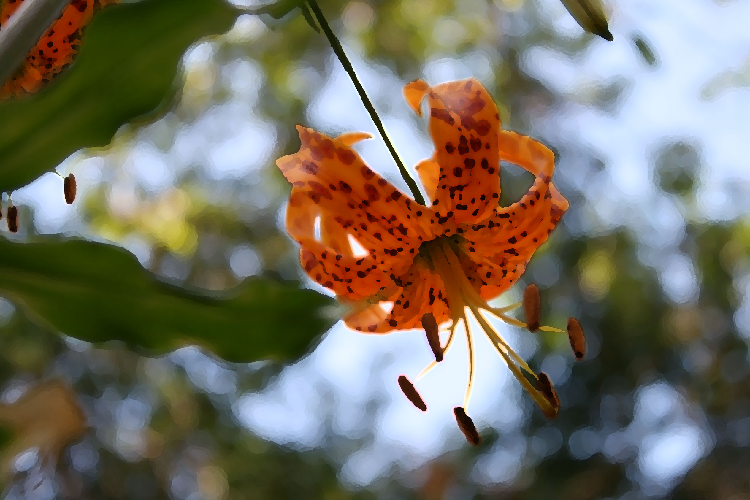 Just Released: Griffith Park Natural History Survey’s “Rare Plants of Griffith Park’