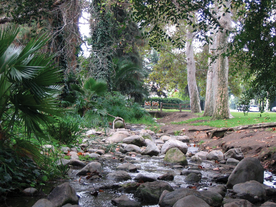 Planning Fern Dell’s Revival