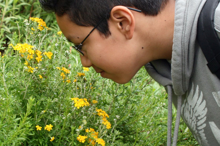 Nature education continues to delight urban kids