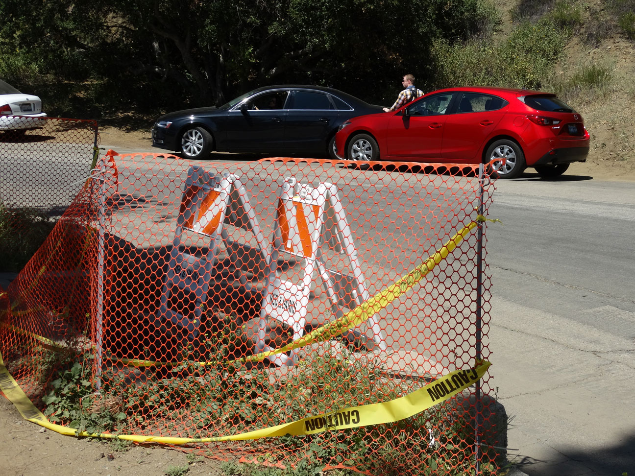 Proposed Mt. Hollywood Drive Reopening Pits Parking Against People (and the Park)