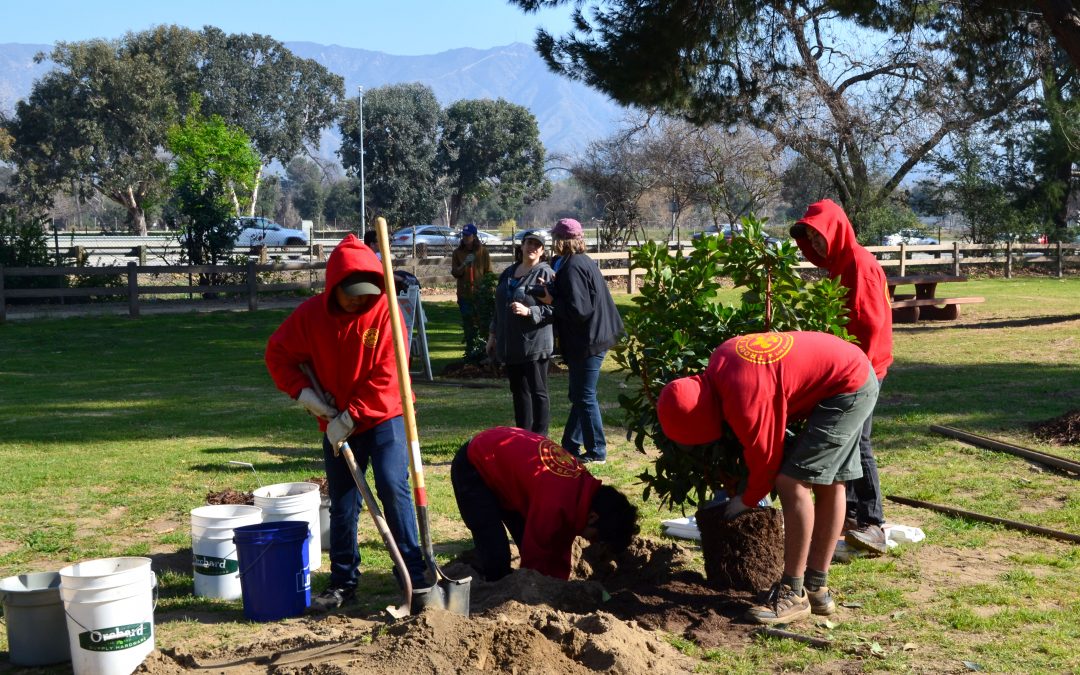 Eager to Volunteer Again