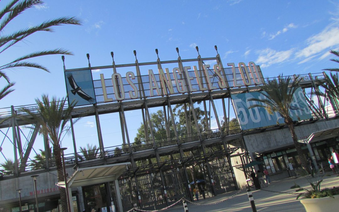 Currently Under Discussion: Zoo Expansion in Griffith Park