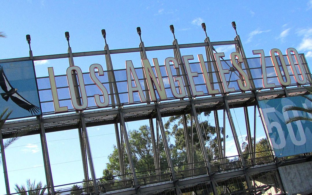 The LA Zoo Vision Plan
