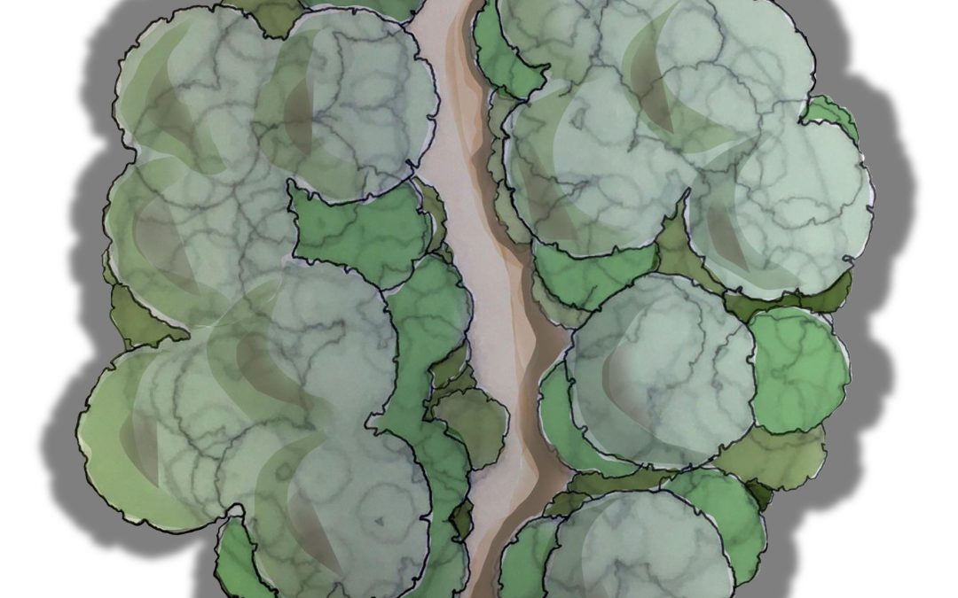 A Micro-forest for Griffith Park
