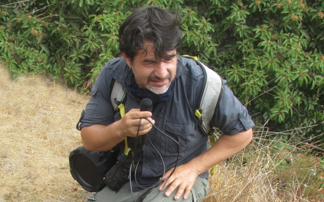 Jorge Ochoa Discusses the Intricacies of Griffith Park’s Flora and Fauna